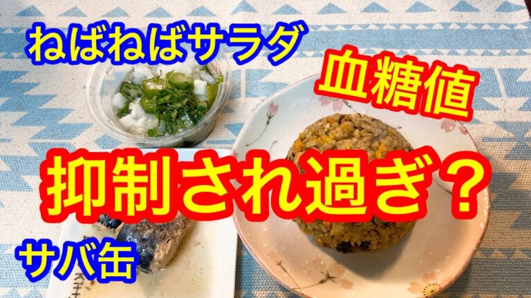 サバ缶とねばねざサラダ 玄米140g炒飯 血糖値は抑制され過ぎ？
