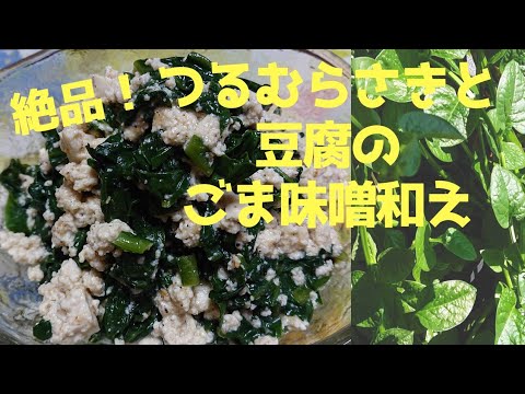 【つるむらさきの簡単レシピ】収穫から食べ方までお見せします♪