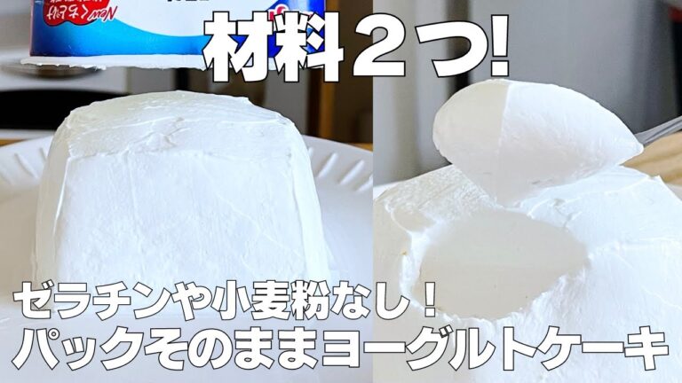 【材料2つ】ゼラチンなし！ヨーグルトケーキ作り方！ / 【syun cooking】