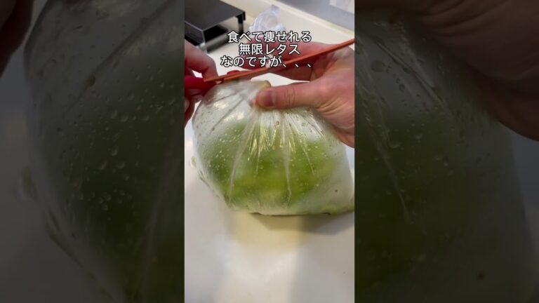 【-25kg料理】無限レタス🤤
