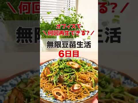 豆苗とマルちゃん焼きそばはよく合います！#shorts