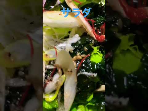 チョレギサラダ🍚
