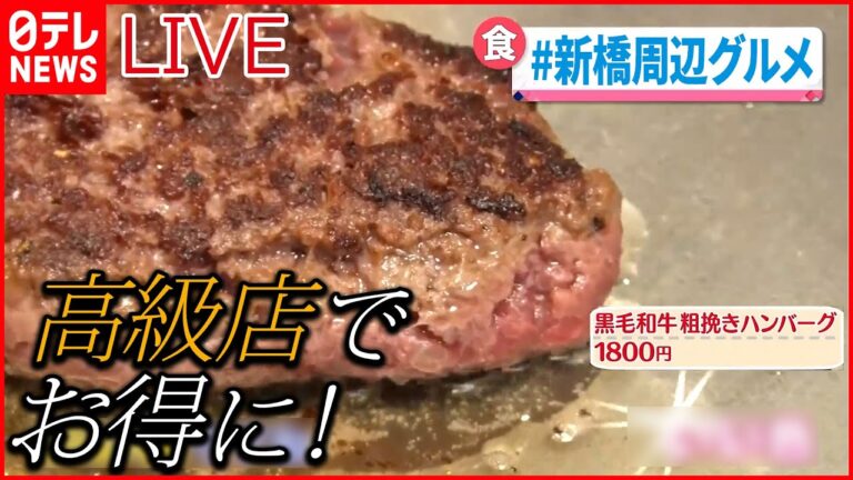 【グルメライブ】国産黒毛和牛ハンバーグ　高級鉄板焼き店のお得なランチ  などーー東京・新橋周辺グルメ “every.グルメ”シリーズ一挙公開　 (日テレNEWS LIVE)