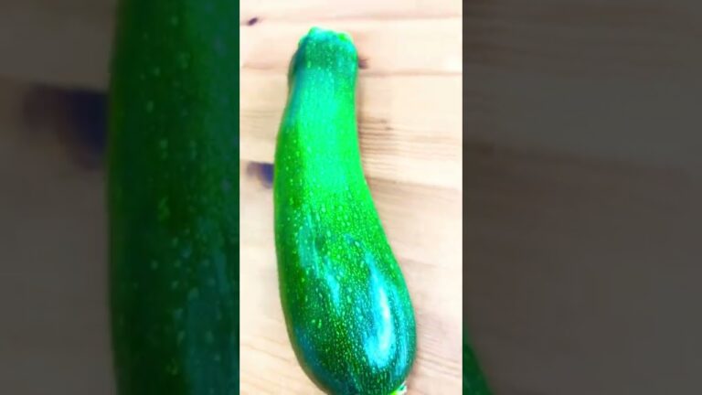 ズッキーニは煮たり炒めたりするとトロットロの食感を堪能できます【野菜の宅配型直売所：船橋野菜】