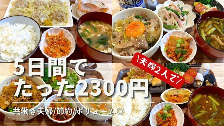 【節約レシピ⑤】平日5日間で2300円晩ごはん/お腹も財布も大満足💯長ネギ消費/ボリュームたっぷり/共働き夫婦/作り置き