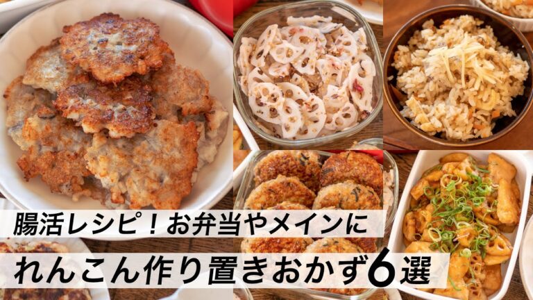 【腸活作り置き#11】れんこん料理6選！おすすめ簡単レシピ｜お弁当にも人気のメニュー｜塩麹と発酵食品でヘルシー献立・夕食