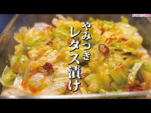 どう考えてもサラダより美味しい。無限に食えるレタス漬けの作り方