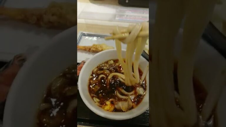 少し辛い牛肉つけうどん(冷)