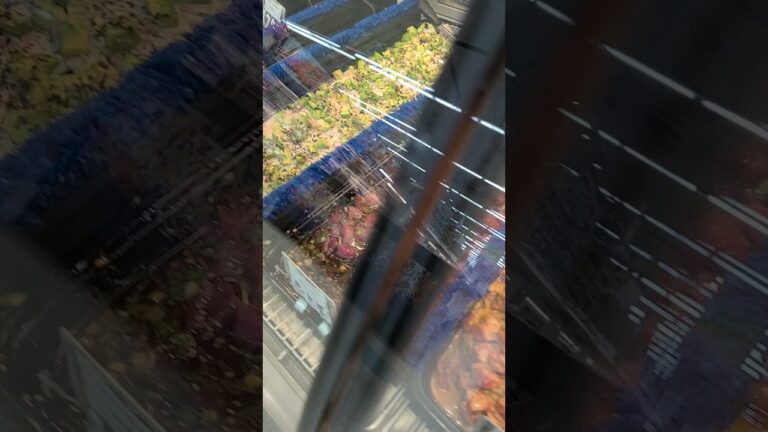 Hawaii Poke ハワイのポキ売り場#shorts