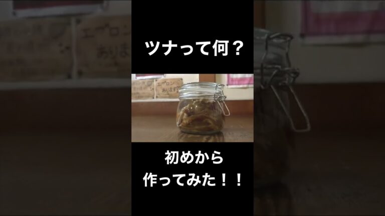 ツナとシーチキンって何が違う？#shorts