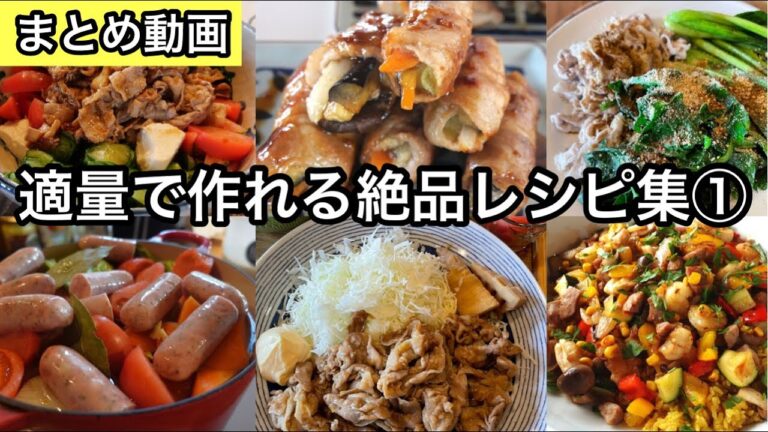 これは保存版で見応えあり！間違いなしの適量レシピ集！視聴者さま絶賛のカレーピラフ｜最強の生姜焼き｜ポトフ｜野菜たっぷり肉巻き