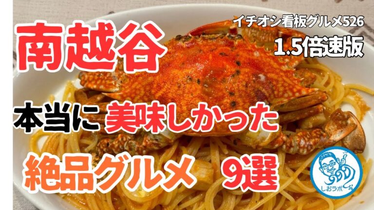 【1.5倍速】南越谷で本当に美味しかった絶品グルメ９選 埼玉グルメ イチオシ看板グルメ５２６ #飲食店応援 1376