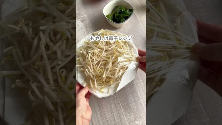 焼肉するなら！トマトともやしのさっぱりサラダ