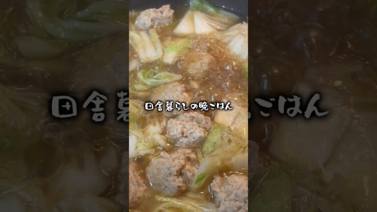 白菜と鶏団子の春雨スープ🍲 #japanesecountrylife #cooking #food #日々の料理 #cookingfood #mukbang #foodpreparation #料理