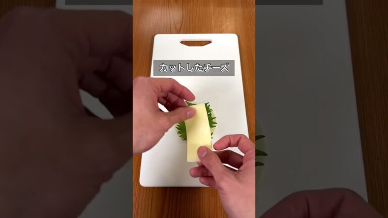 大葉豚こまチーズの揚げぎょうざ風