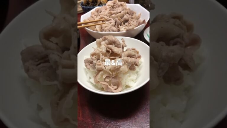 激うま三元豚丼(ご飯が進む！食べ物シリーズ#6)