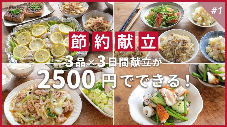 ボリュームたっぷりな3品献立がお得に作れるレシピ！鶏むね・もやし・豚こまなど節約食材盛りだくさん【買い物リスト付きで便利】