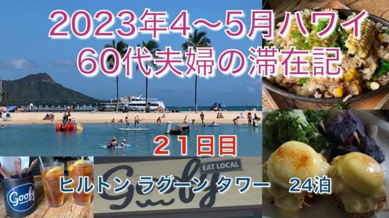 2023年4-5月【21日目】今日は「GOOFY Cafe&Dine」のランチのみ！