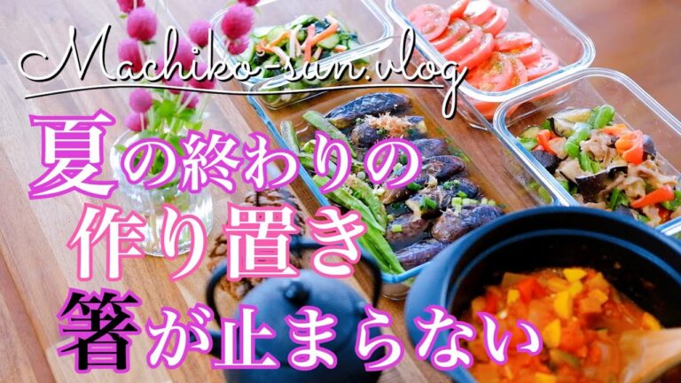 【作り置きレシピ】箸が止まらぬ簡単夏野菜の副菜4品・主菜1品！ナス・ピーマン・パプリカ・オクラ・キュウリ・トマト