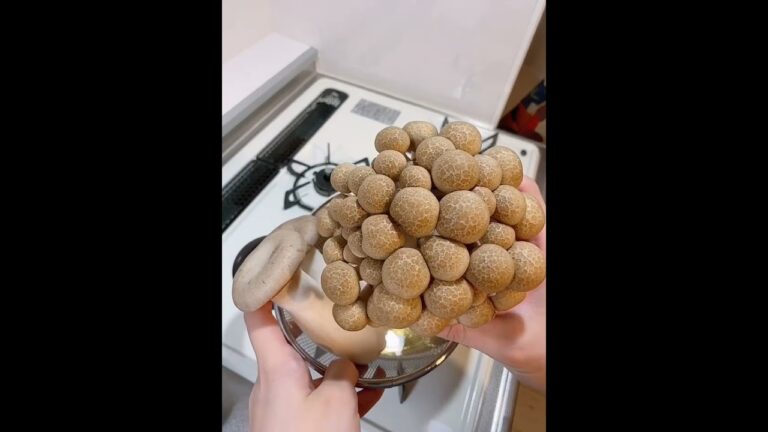 【食物繊維たっぷり】きのこのお味噌汁