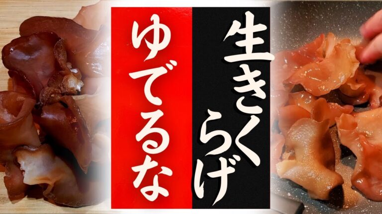 【生きくらげ】の美味しい食べ方！驚くほど美味しくなる！