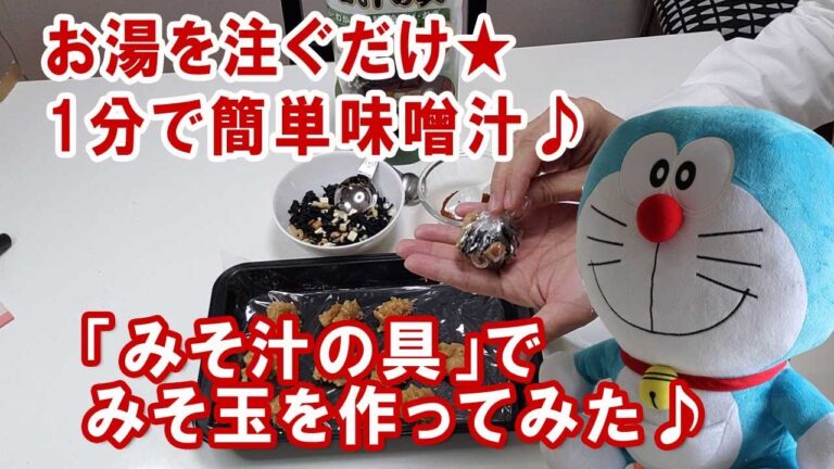 お湯を注ぐだけ★1分で簡単味噌汁♪「みそ汁の具」でみそ玉を作ってみた!!!