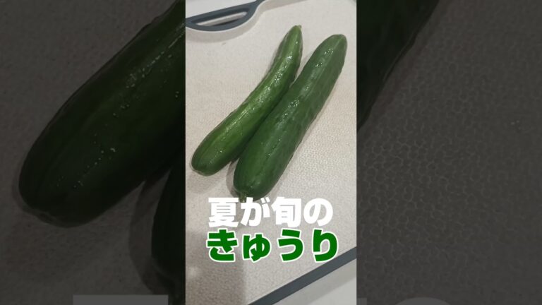 【レシピ】今が旬のきゅうりを使った簡単レシピ｜無限きゅうり｜蛇腹切り｜浅漬け