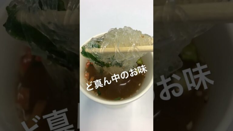 スープ春雨（減塩）中華　選べるスープ春雨