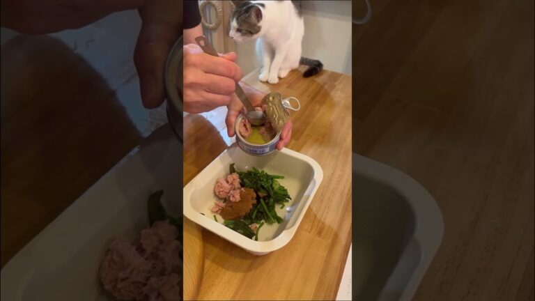 さっぱり美味しい！ほうれん草の梅ツナ和え レシピはコメント欄に記載 #shorts