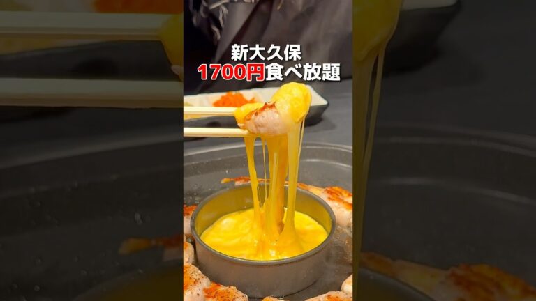【新大久保】1700円でエビロールサムギョプサルが無限食べ放題！ #新宿グルメ #東京グルメ