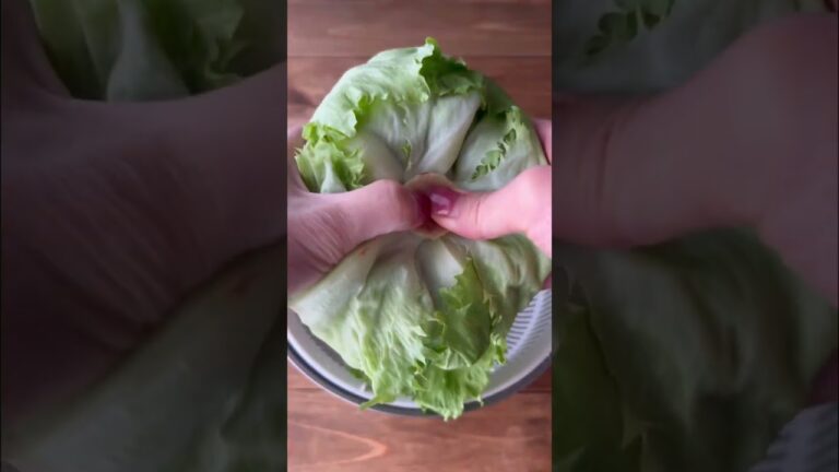 おつまみレタス※直前に混ぜて【材料】レタス...1個　玉ごま油...大さじ2塩...小さじ1/2コチュジャン...大さじ1/2にんにくすりおろし...小さじ1/4いりごま...大さじ1#shorts