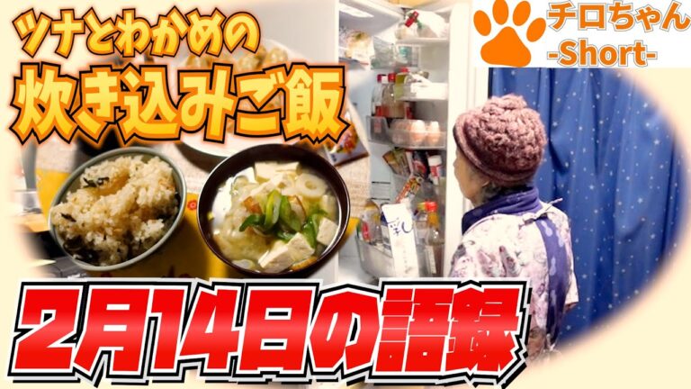 とある日の夕食 ツナとわかめの炊き込みご飯と餃子とばあちゃん新語録と。４K＃shorts