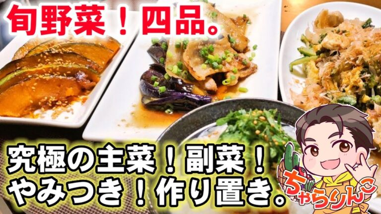 今日の献立。やみつきゴーヤーチャンプルー。茄子。南瓜。人気作り置きおかず3品＋もう1品！常備菜/夏野菜レシピ/大葉大量消費レシピ