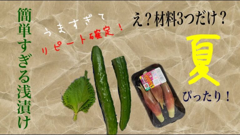 きゅうりの浅漬け#材料3つ #ズボラ#簡単