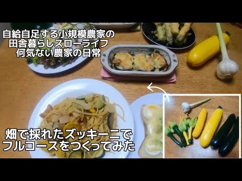 【田舎暮らし自給自足】家庭菜園のズッキーニを収穫してフルコースをつくってみた【何気ない農家の日常】【8月】