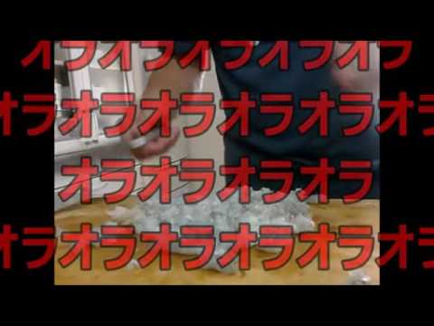 【メガネ食堂】 海老そぼろ寿司