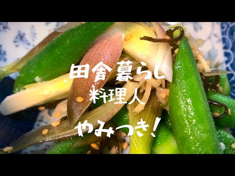 【茗荷とオクラの塩昆布和え】一度食べたら止まらない！やみつきオクラ
