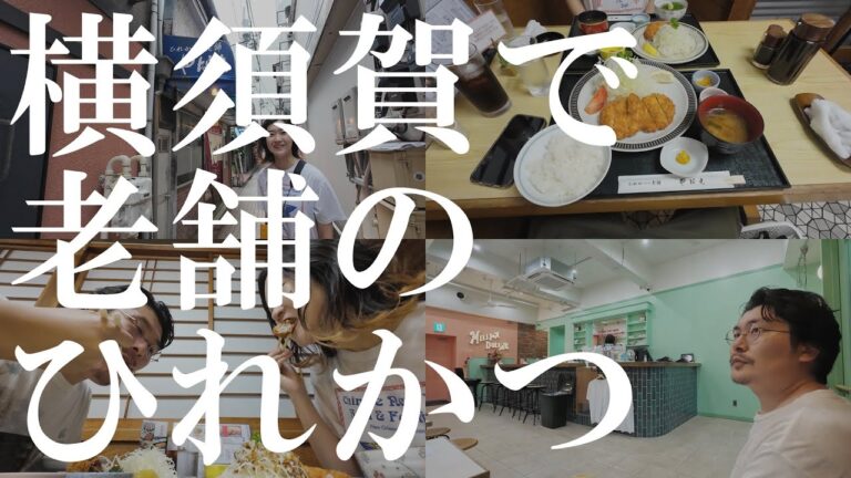 【横須賀VLOG】老舗のとんかつとアメリカンなアイスを堪能！｜やなせ本店｜ミリオンダラーアイスクリームパーラー｜横須賀中央