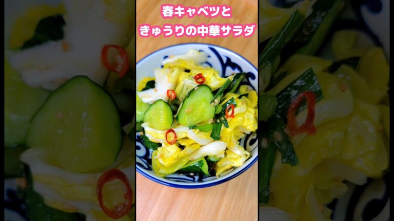 春キャベツときゅうりの中華サラダ #お腹いっぱい #簡単料理 #夕飯 #おうちごはん #節約料理 #料理vlog #お昼ごはん #作り置き #節約レシピ