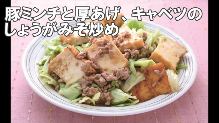 19 51_豚ミンチと厚あげ、キャベツのしょうがみそ炒め