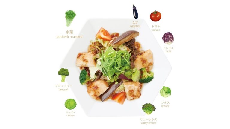 鶏むね肉とたっぷり野菜の香辛だれ定食
