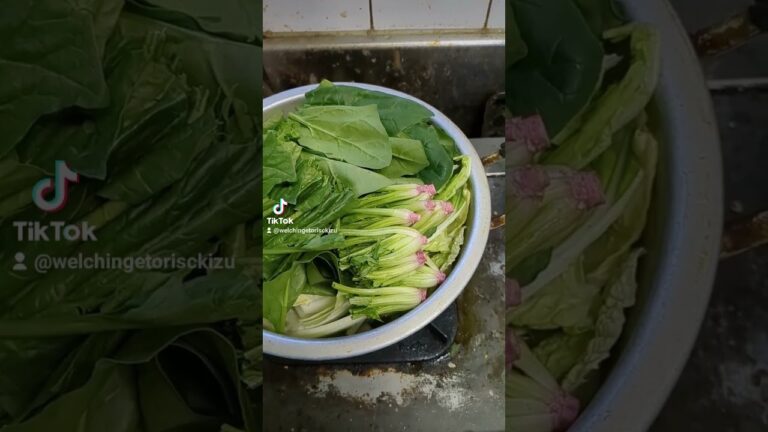 塩鍋作りましたチキン　シャケ　牡蠣　白菜　キノコ　ほうれん草です