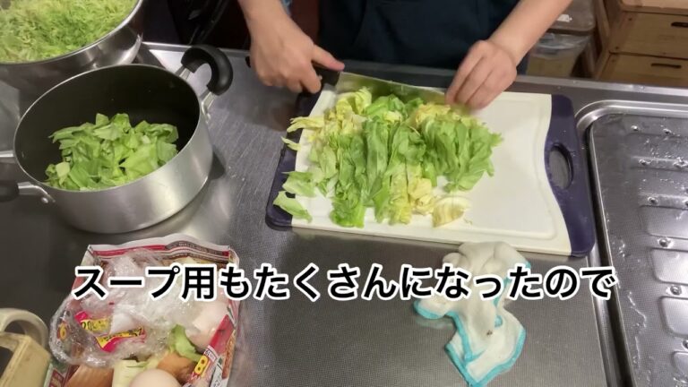 春キャベツいっぱいハンバーグ