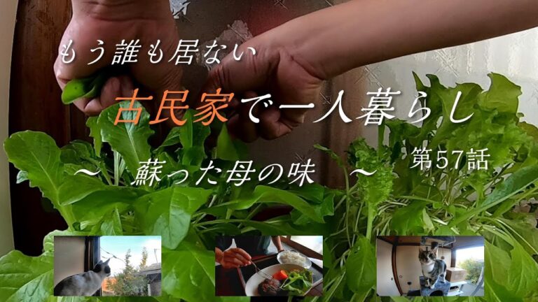 (57話)16年ぶりの帰国で、もう誰も居ない古民家で一人暮らし、水耕栽培が大成長！母の思い出の味を再現、子猫のマオマオランランとの日常など。【フカセンvlog57】