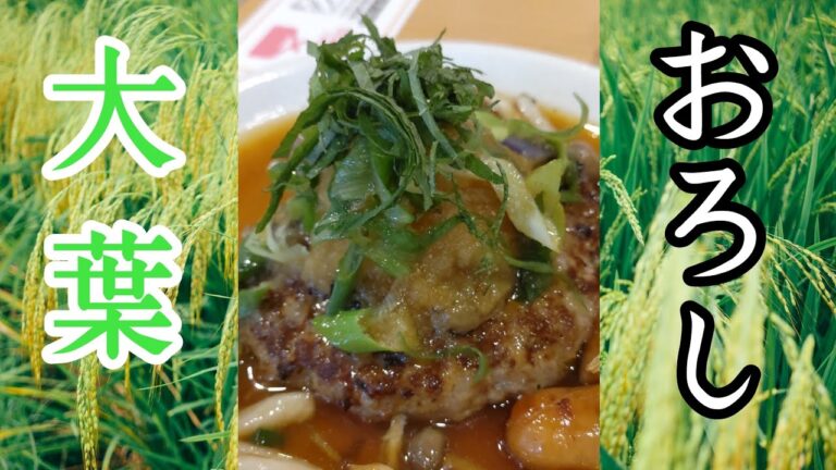 ガストの大葉おろし和風ハンバーグが美味しかったんですが本編