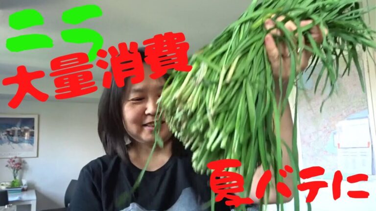 219【にら】大量仕込み｜夏バテに（夏？ええ、トロントの気候はすでに夏）