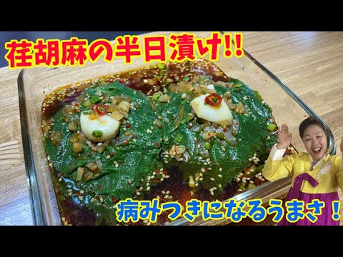 リーサンの荏胡麻の半日漬けをご紹介！