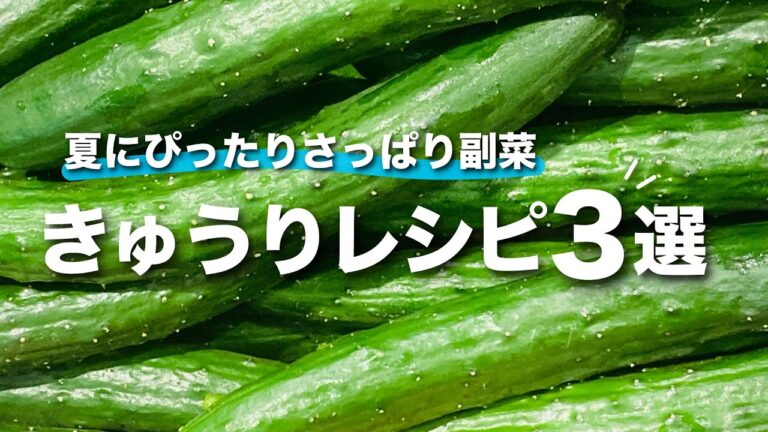 【きゅうり副菜】夏バテに負けないお箸が進むきゅうりレシピ 夏にピッタリなさっぱりとした味わいの副菜3選【今日のあと一品】