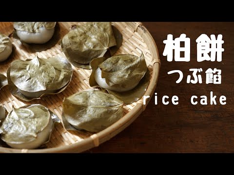 【柏餅】サルトリイバラの葉で包む/イバラ餅/サンキライ餅/作り方/レシピ