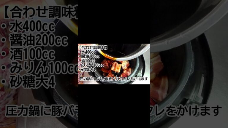 豚の角煮をクッキングプロで作ってみた #shorts